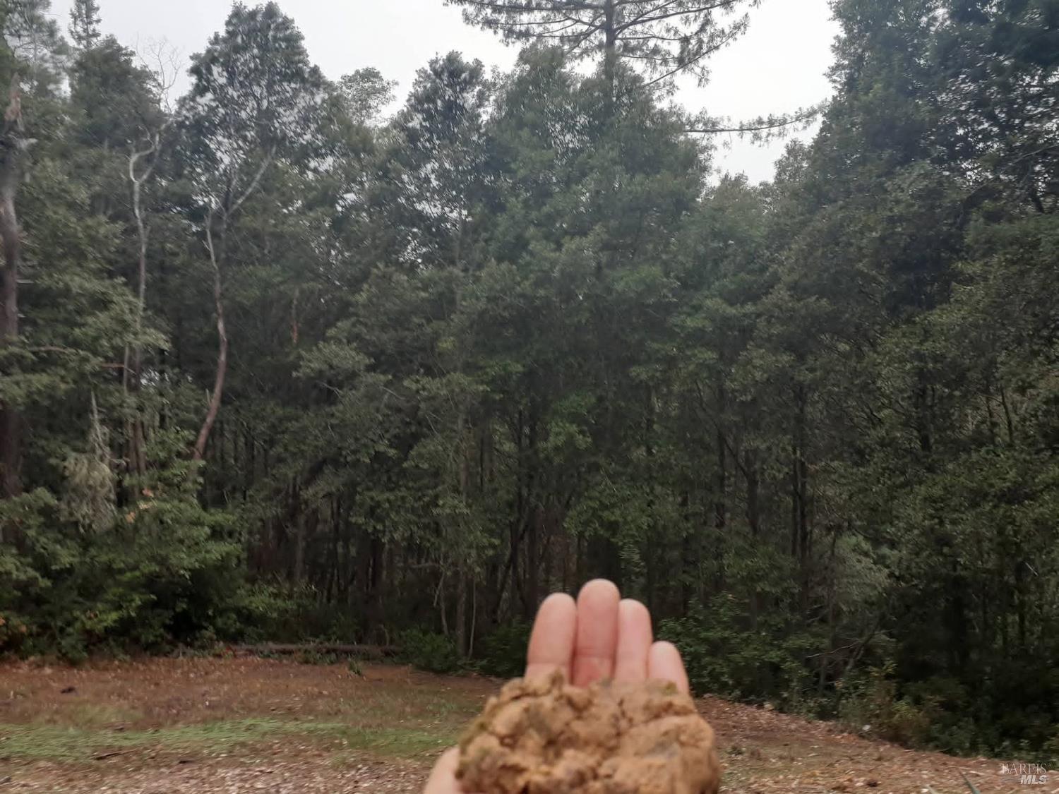 Detail Gallery Image 40 of 59 For 38160 Ocean Ridge Dr, Gualala,  CA 95445 - – Beds | – Baths