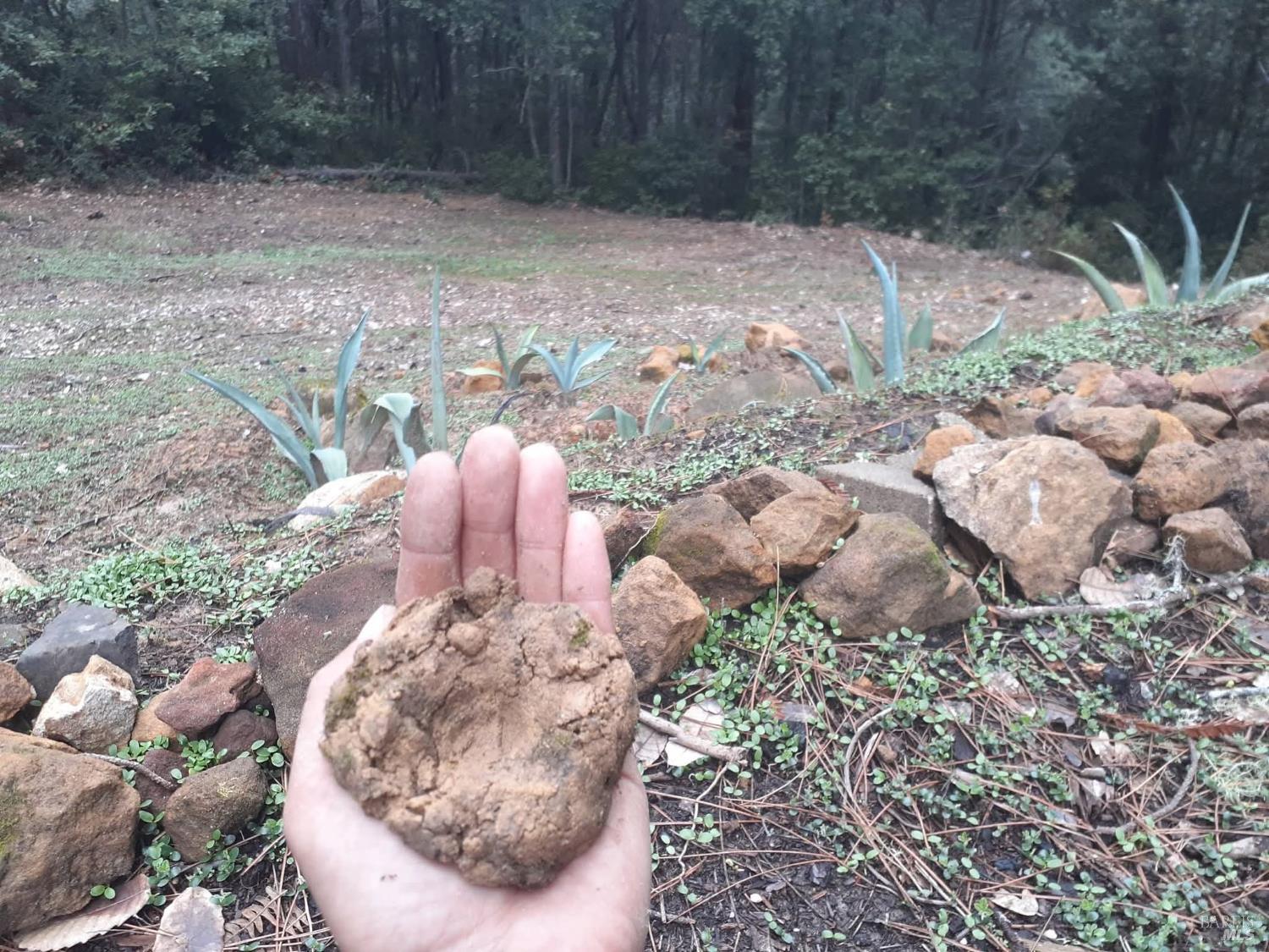 Detail Gallery Image 45 of 59 For 38160 Ocean Ridge Dr, Gualala,  CA 95445 - – Beds | – Baths