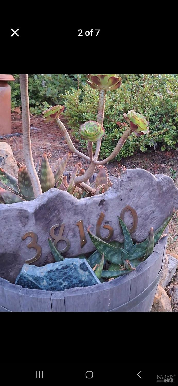 Detail Gallery Image 23 of 59 For 38160 Ocean Ridge Dr, Gualala,  CA 95445 - – Beds | – Baths