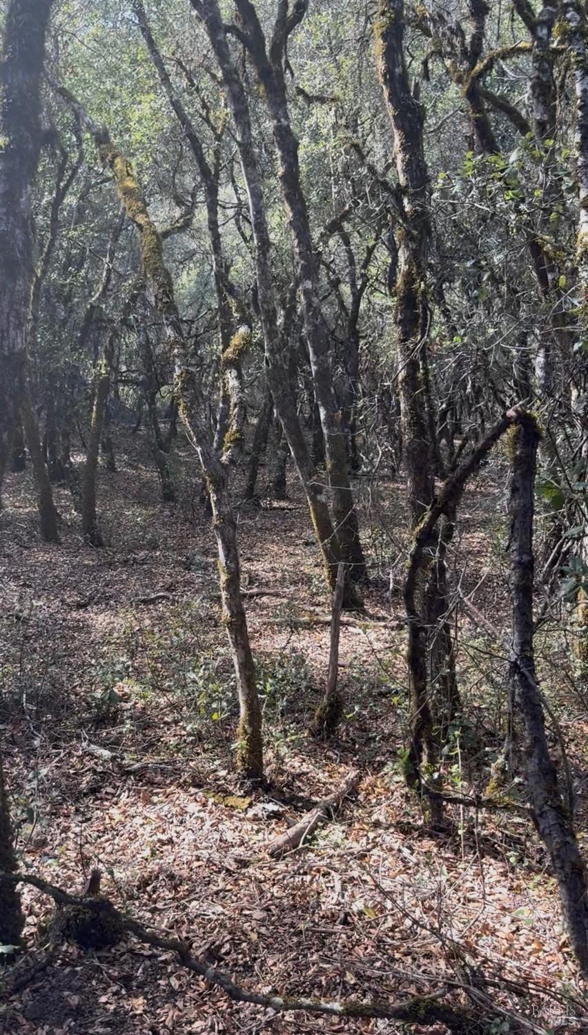 Detail Gallery Image 15 of 18 For 7700 8 W 25 Trl, Lucerne,  CA 95458 - – Beds | – Baths