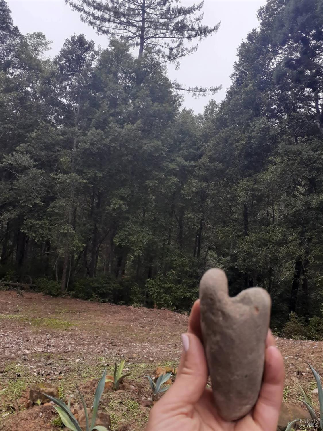 Detail Gallery Image 32 of 59 For 38160 Ocean Ridge Dr, Gualala,  CA 95445 - – Beds | – Baths