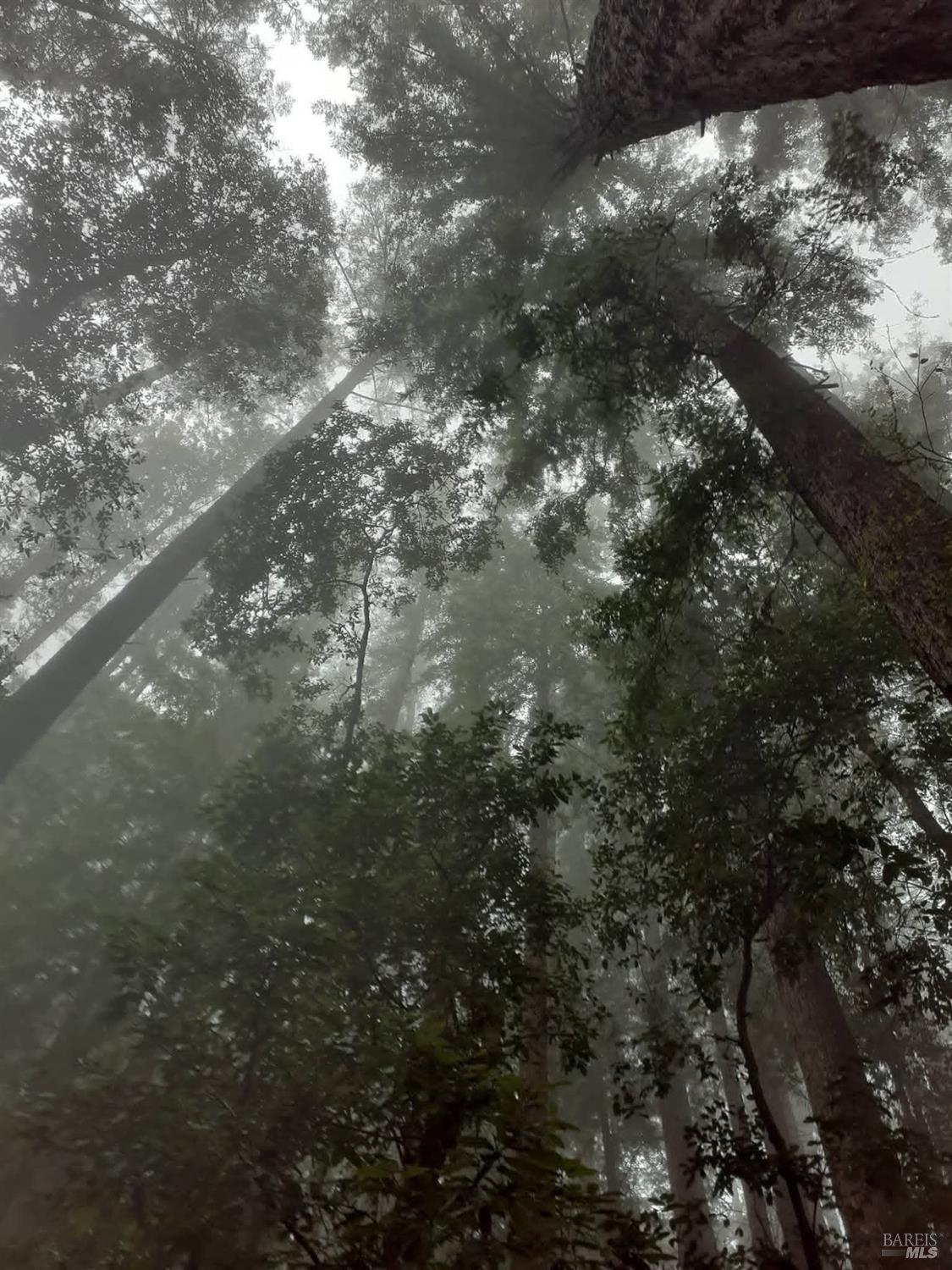 Detail Gallery Image 47 of 59 For 38160 Ocean Ridge Dr, Gualala,  CA 95445 - – Beds | – Baths