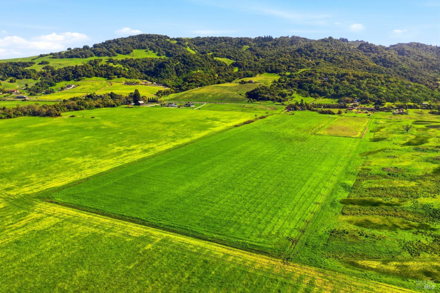 Detail Gallery Image 88 of 95 For 4305 Petaluma Hill Rd, Santa Rosa,  CA 95404 - 3 Beds | 2 Baths