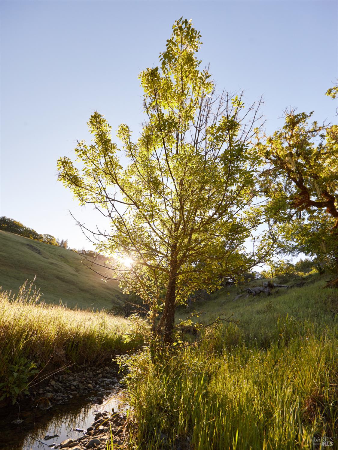 Front Image Thumbnail for BA326022916