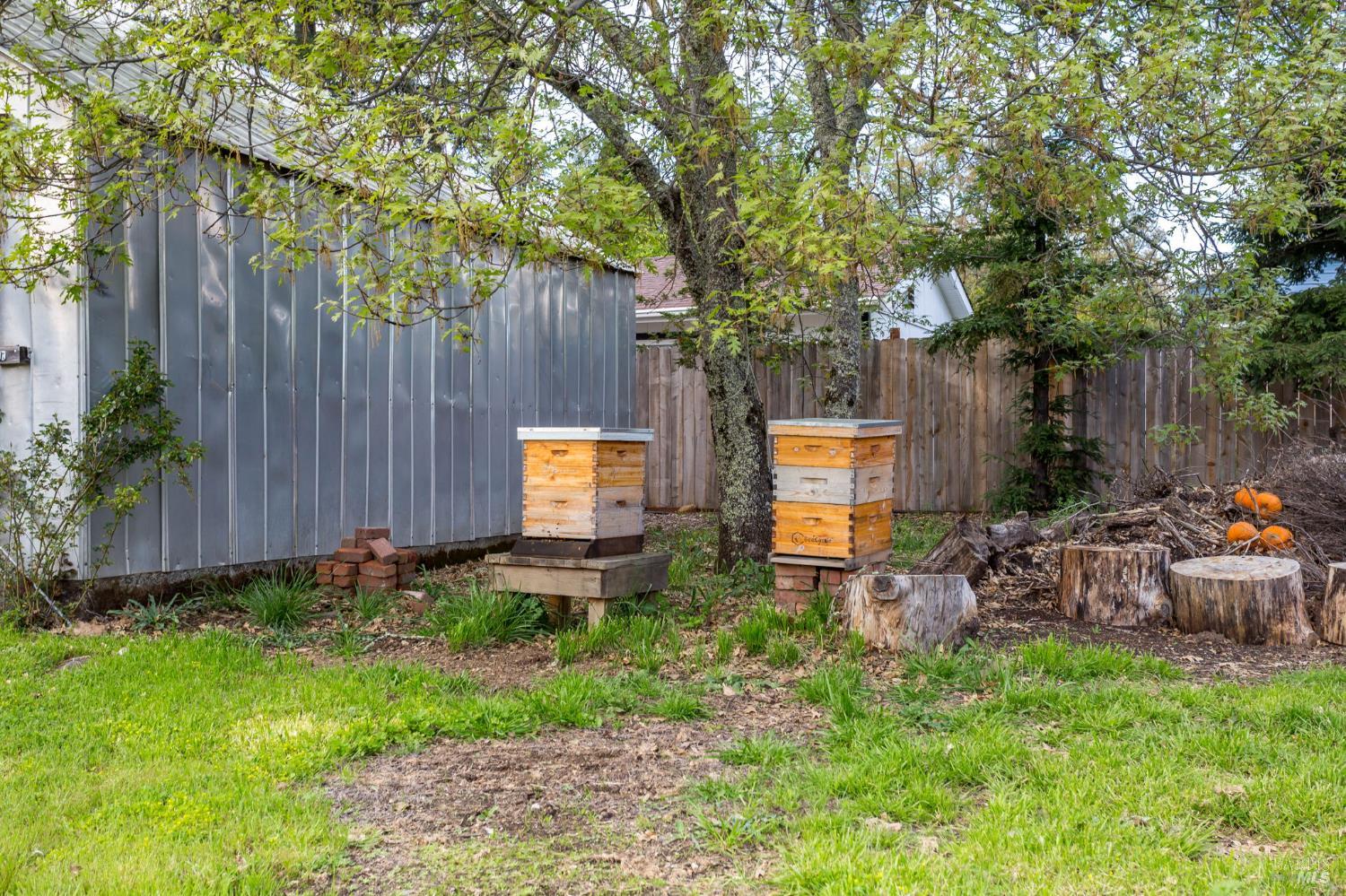 Detail Gallery Image 33 of 44 For 350 Newton Way, Angwin,  CA 94508 - 3 Beds | 2 Baths