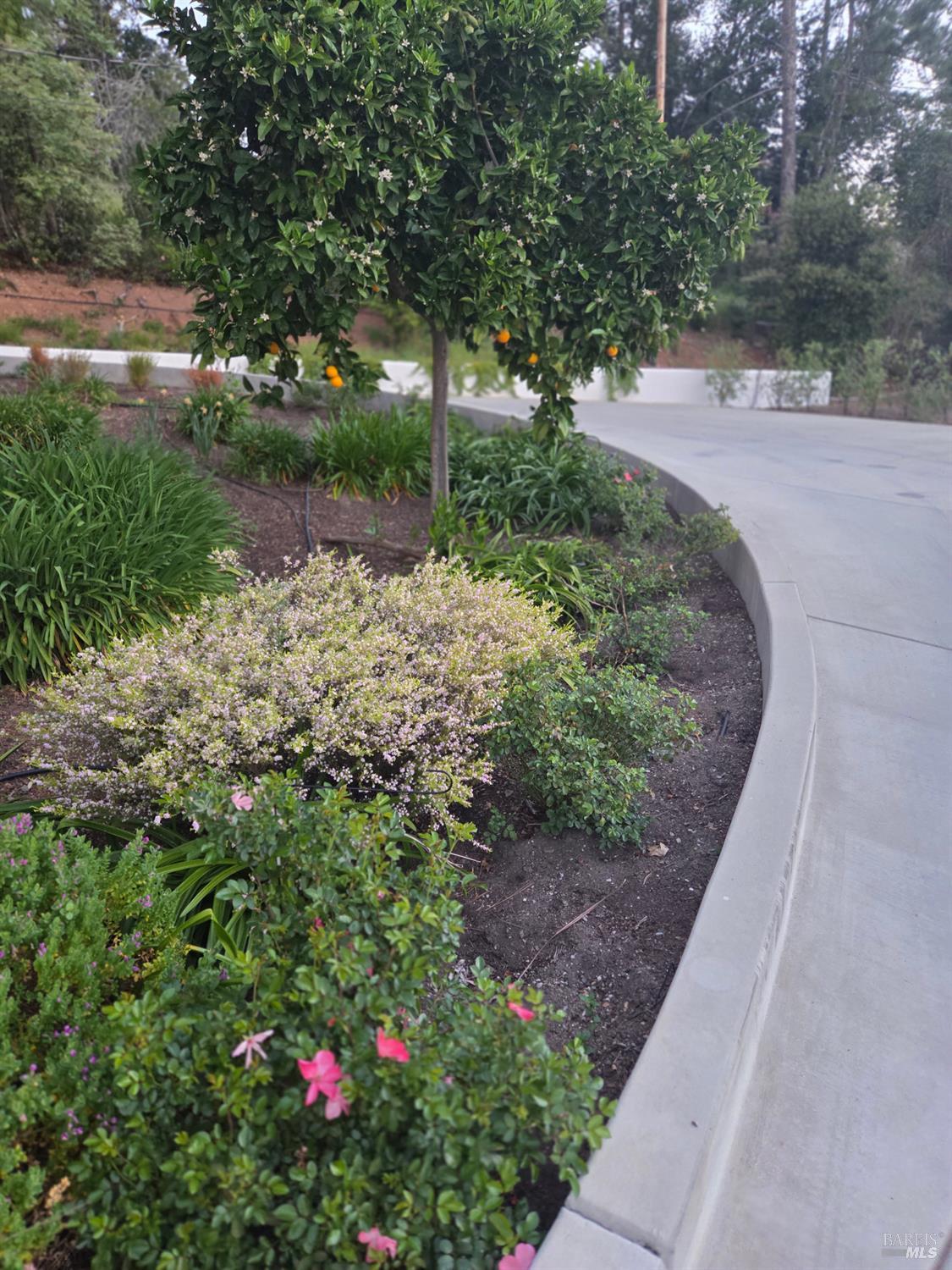 Detail Gallery Image 6 of 64 For 460 Bella Vista Dr, Angwin,  CA 94508 - 5 Beds | 3 Baths