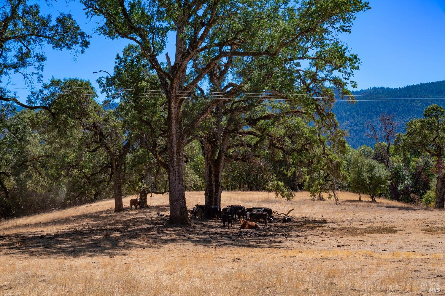 Detail Gallery Image 24 of 62 For 58380 Ca-162 Unkn, Covelo,  CA 95428 - – Beds | – Baths