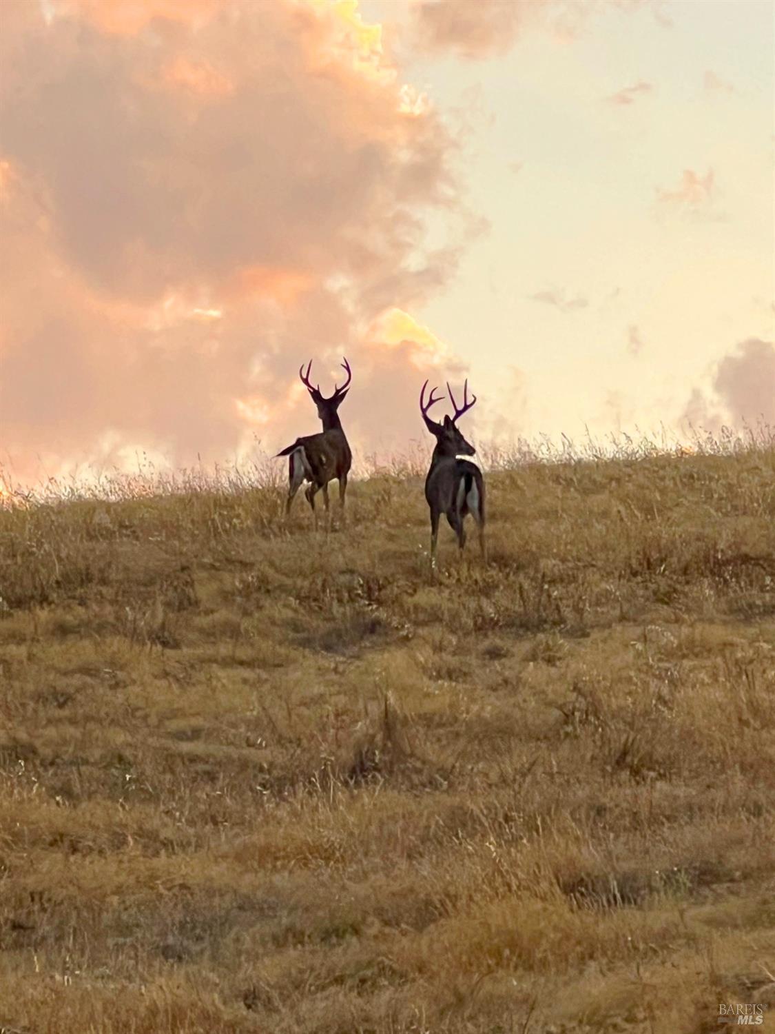 Detail Gallery Image 8 of 62 For 58380 Ca-162 Unkn, Covelo,  CA 95428 - – Beds | – Baths