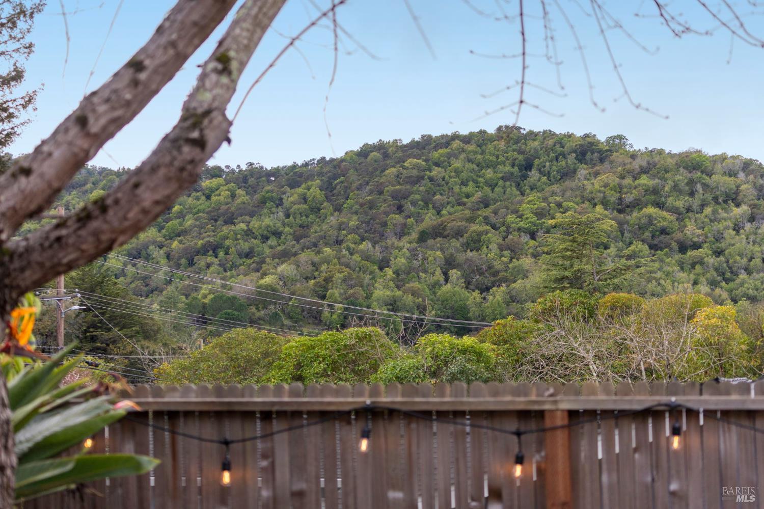 Detail Gallery Image 54 of 76 For 35 Corte Alta Unkn, Novato,  CA 94949 - 4 Beds | 2/1 Baths