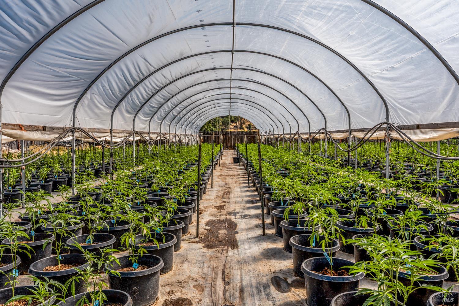 Detail Gallery Image 22 of 28 For 2000 Clover Valley Rd, Upper Lake,  CA 95485 - 2 Beds | 1 Baths