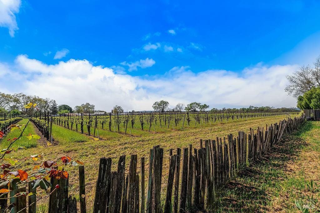 Detail Gallery Image 22 of 35 For 878 Pauline Ct, Santa Rosa,  CA 95401 - 3 Beds | 2 Baths