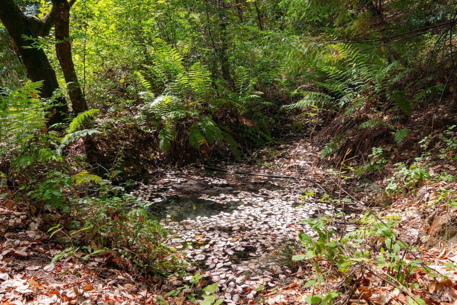 Detail Gallery Image 44 of 62 For 58380 Ca-162 Unkn, Covelo,  CA 95428 - – Beds | – Baths