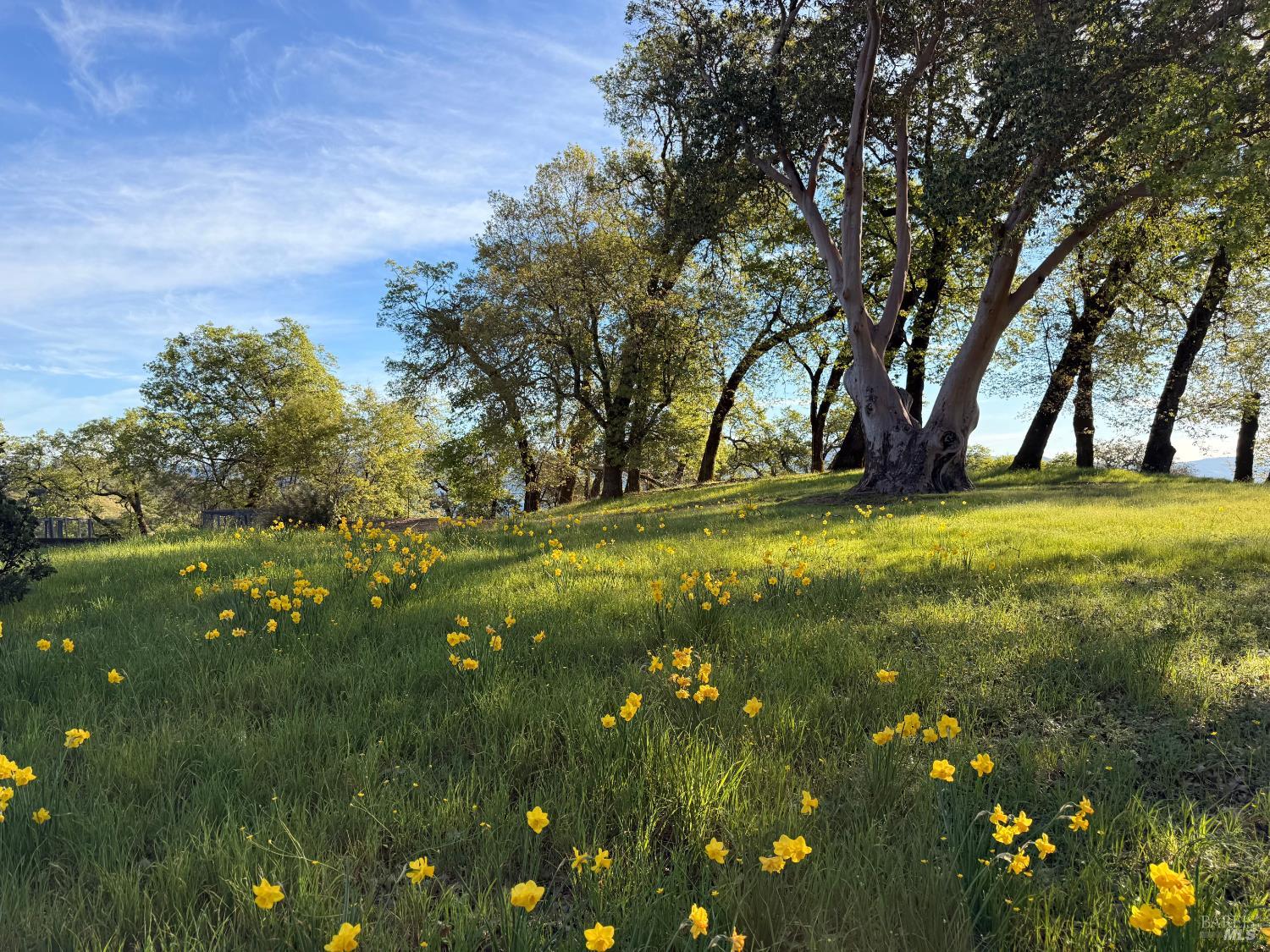 Detail Gallery Image 7 of 19 For 12801 Valley View Dr, Ukiah,  CA 95482 - 3 Beds | 2/1 Baths