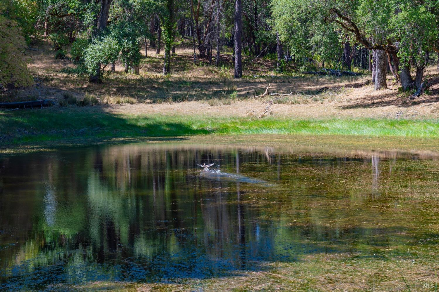 Detail Gallery Image 22 of 62 For 58380 Ca-162 Unkn, Covelo,  CA 95428 - – Beds | – Baths