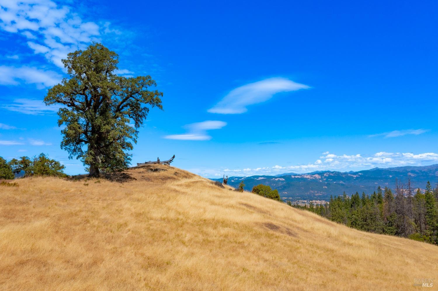 Detail Gallery Image 32 of 62 For 58380 Ca-162 Unkn, Covelo,  CA 95428 - – Beds | – Baths