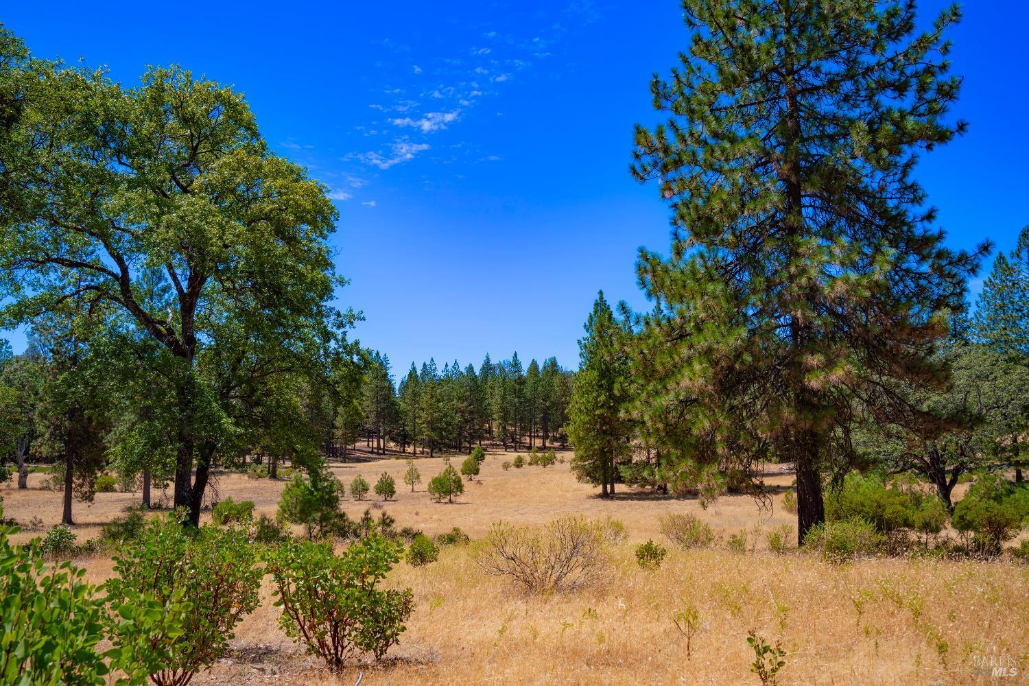 Detail Gallery Image 5 of 62 For 58380 Ca-162 Unkn, Covelo,  CA 95428 - – Beds | – Baths