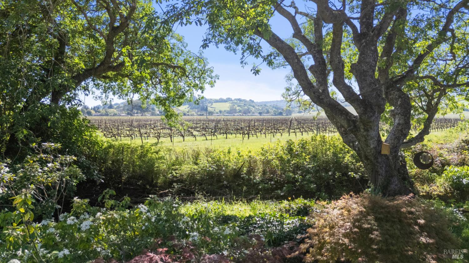 Detail Gallery Image 54 of 60 For 1460 Felder Rd, Sonoma,  CA 95476 - 2 Beds | 2/1 Baths