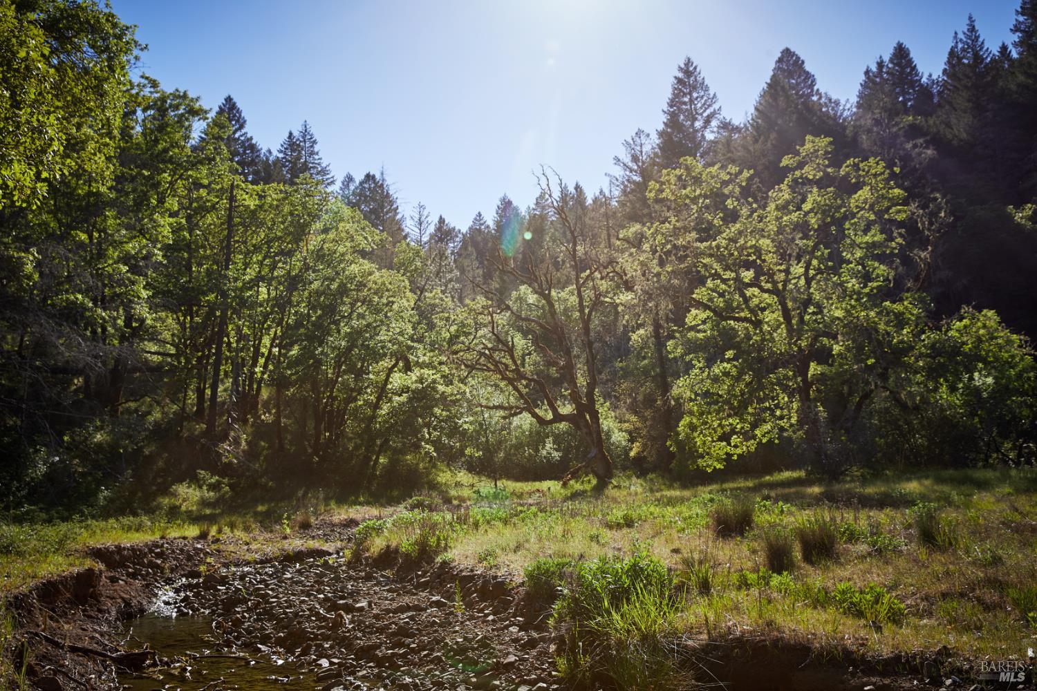 Detail Gallery Image 7 of 7 For 18574 Tomki Rd, Redwood Valley,  CA 95470 - – Beds | – Baths