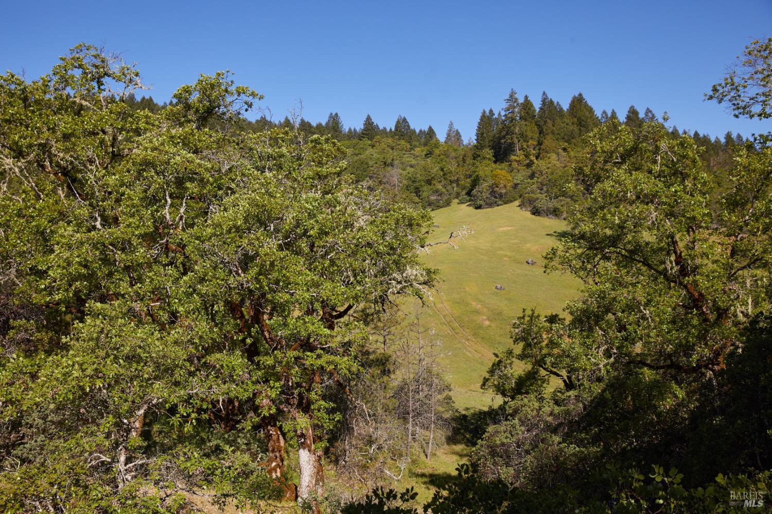 Detail Gallery Image 5 of 7 For 18574 Tomki Rd, Redwood Valley,  CA 95470 - – Beds | – Baths