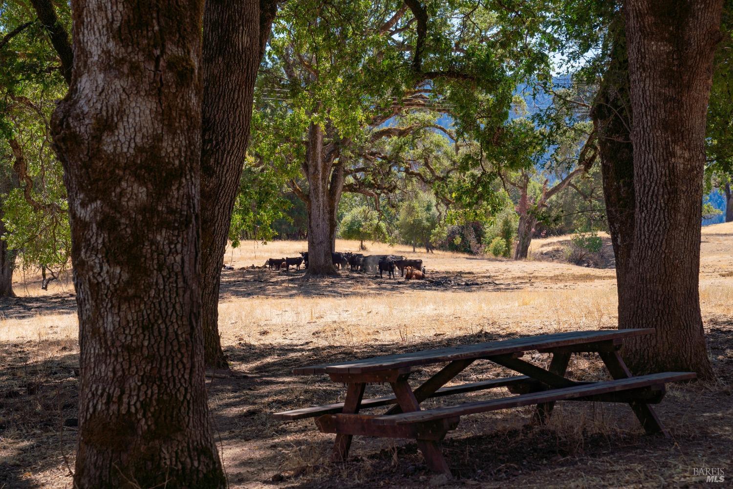 Detail Gallery Image 25 of 62 For 58380 Ca-162 Unkn, Covelo,  CA 95428 - – Beds | – Baths