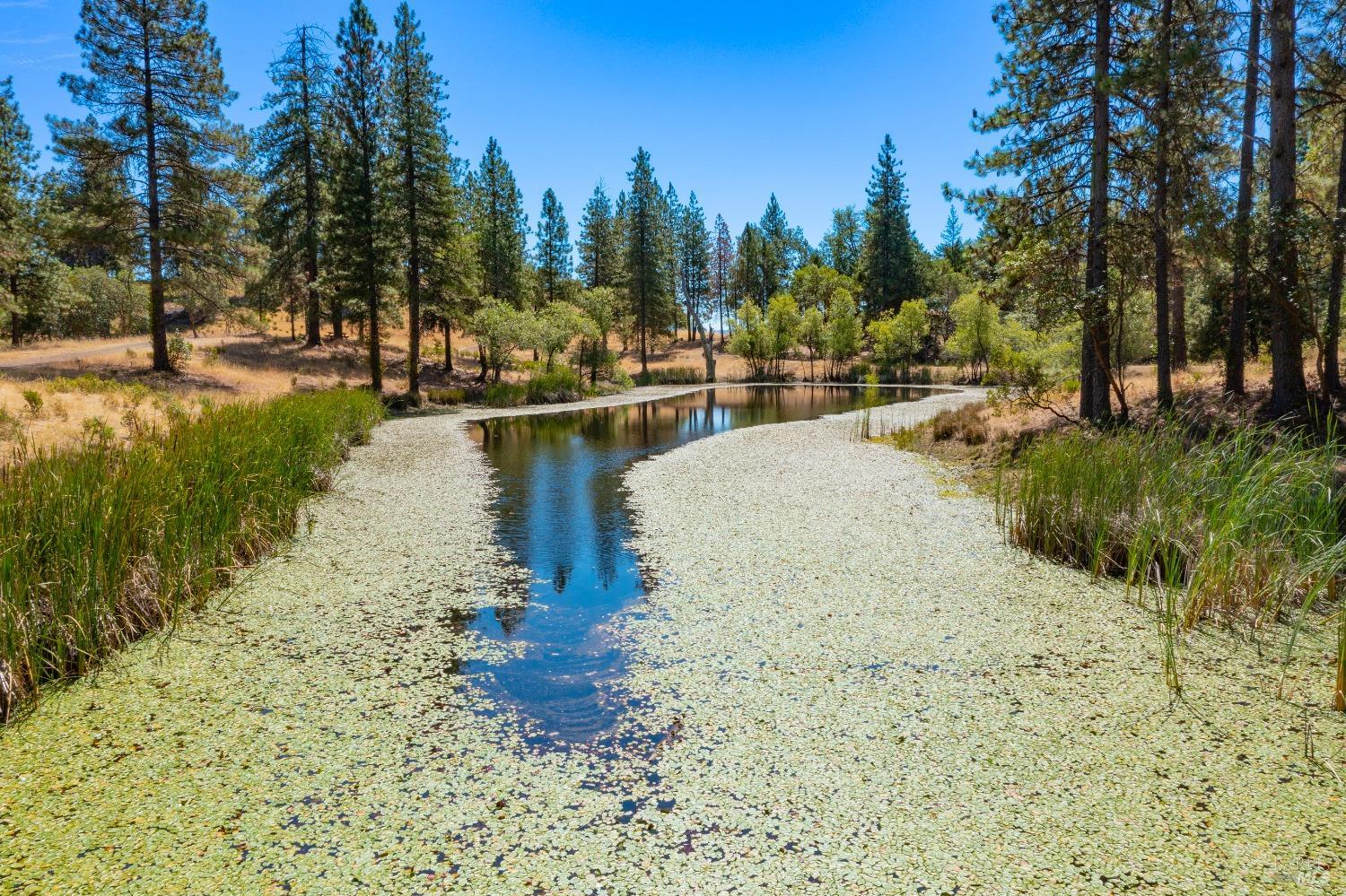 Detail Gallery Image 43 of 62 For 58380 Ca-162 Unkn, Covelo,  CA 95428 - – Beds | – Baths