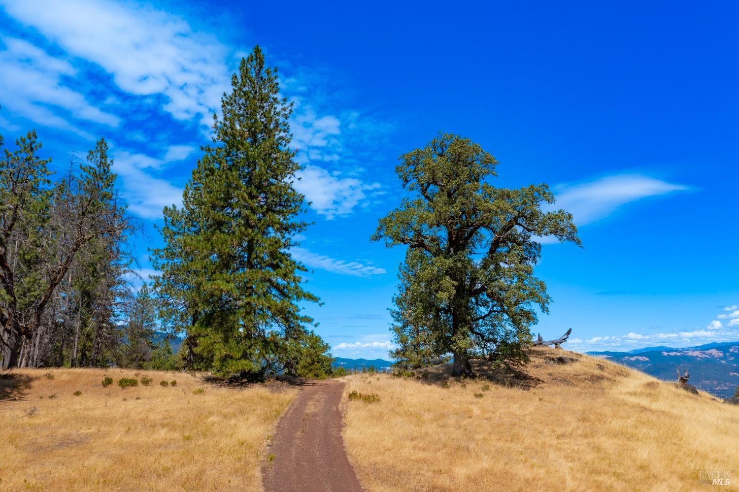 Detail Gallery Image 51 of 62 For 58380 Ca-162 Unkn, Covelo,  CA 95428 - – Beds | – Baths