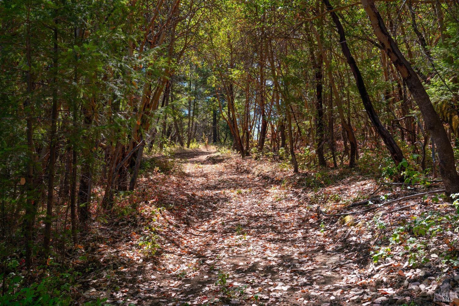 Detail Gallery Image 41 of 62 For 58380 Ca-162 Unkn, Covelo,  CA 95428 - – Beds | – Baths