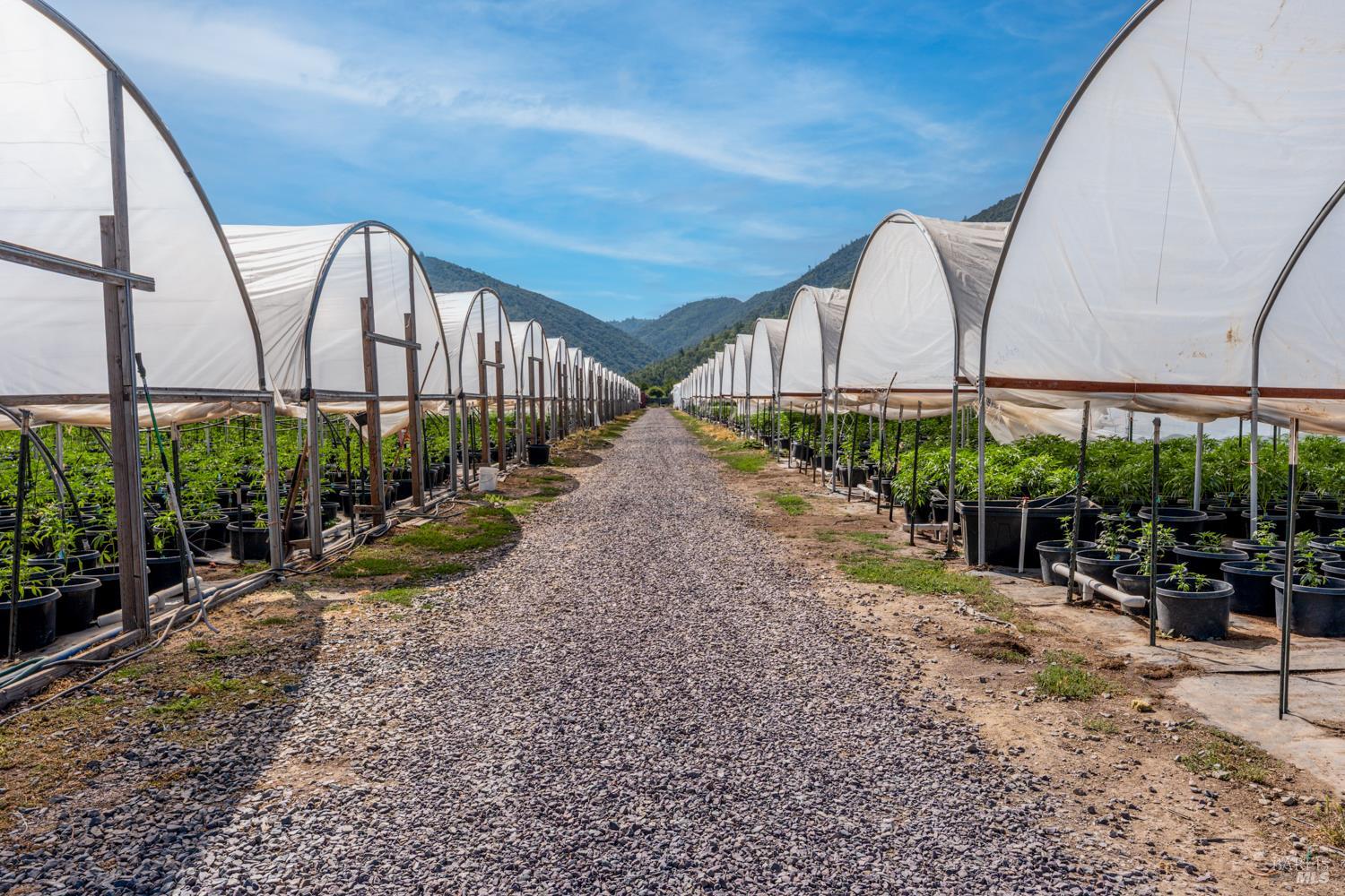 Detail Gallery Image 21 of 28 For 2000 Clover Valley Rd, Upper Lake,  CA 95485 - 2 Beds | 1 Baths