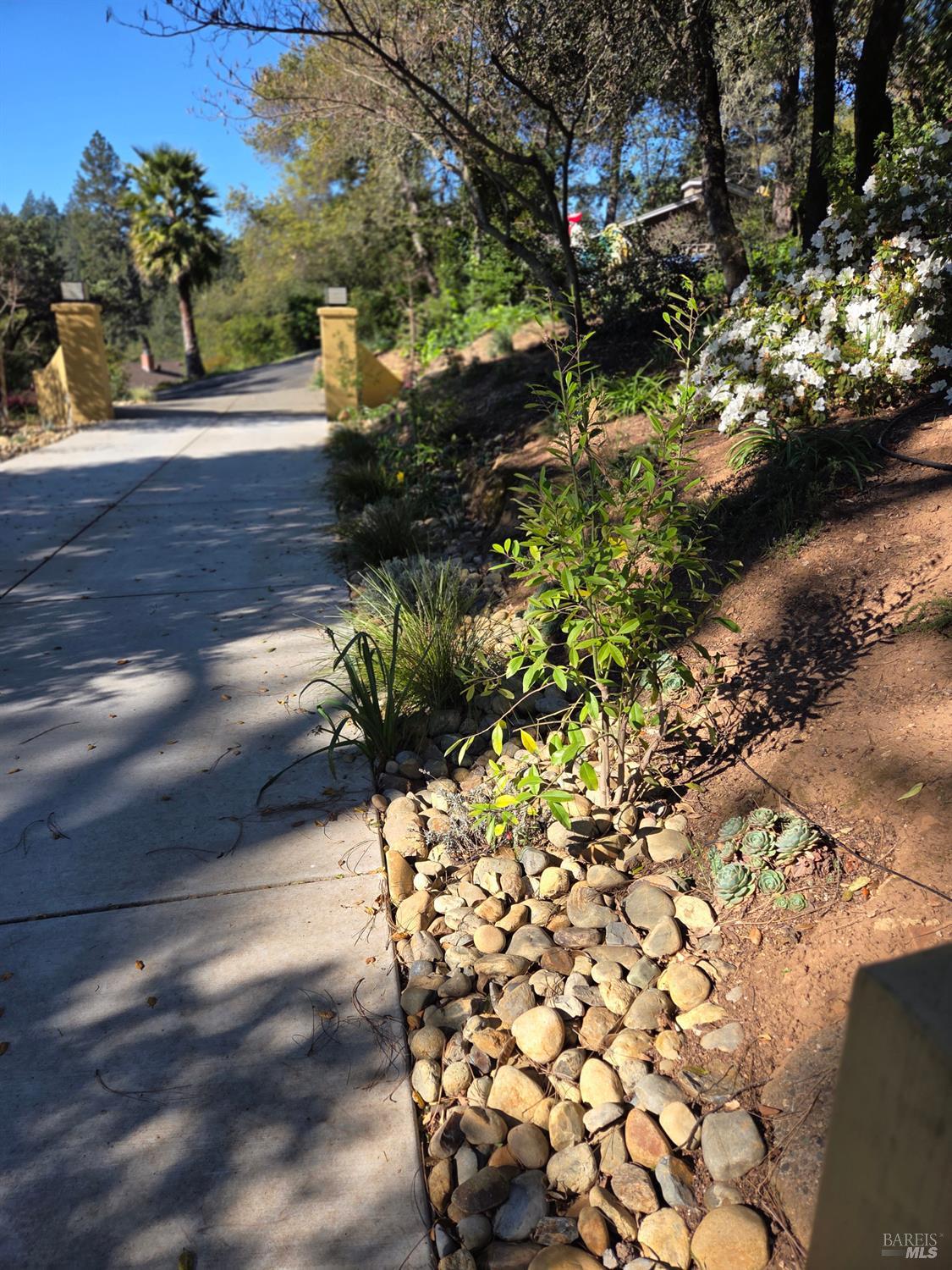 Detail Gallery Image 5 of 64 For 460 Bella Vista Dr, Angwin,  CA 94508 - 5 Beds | 3 Baths