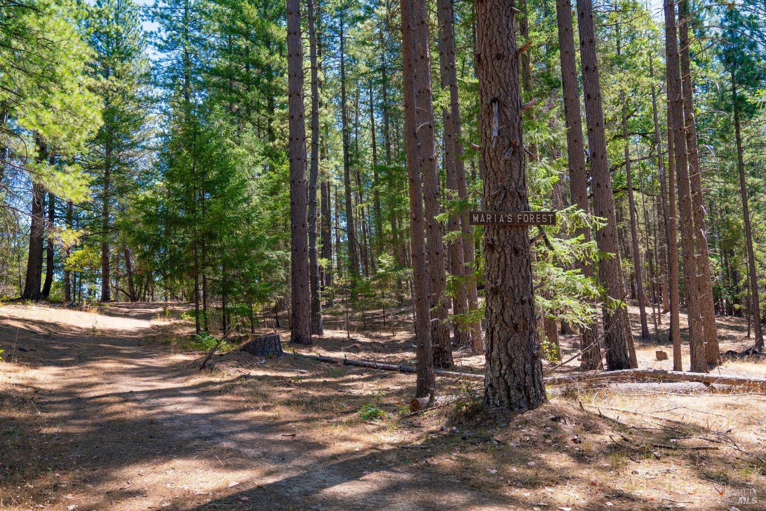 Detail Gallery Image 39 of 62 For 58380 Ca-162 Unkn, Covelo,  CA 95428 - – Beds | – Baths