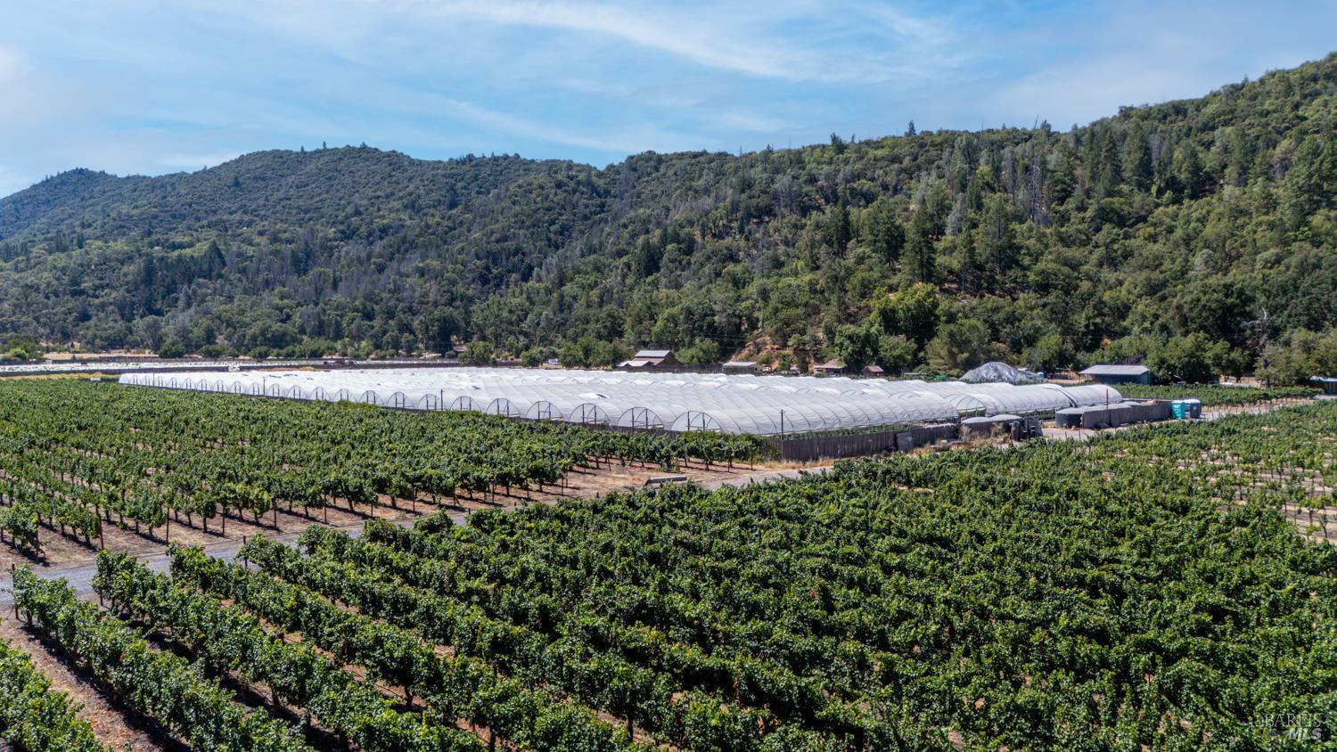 Detail Gallery Image 28 of 28 For 2000 Clover Valley Rd, Upper Lake,  CA 95485 - 2 Beds | 1 Baths