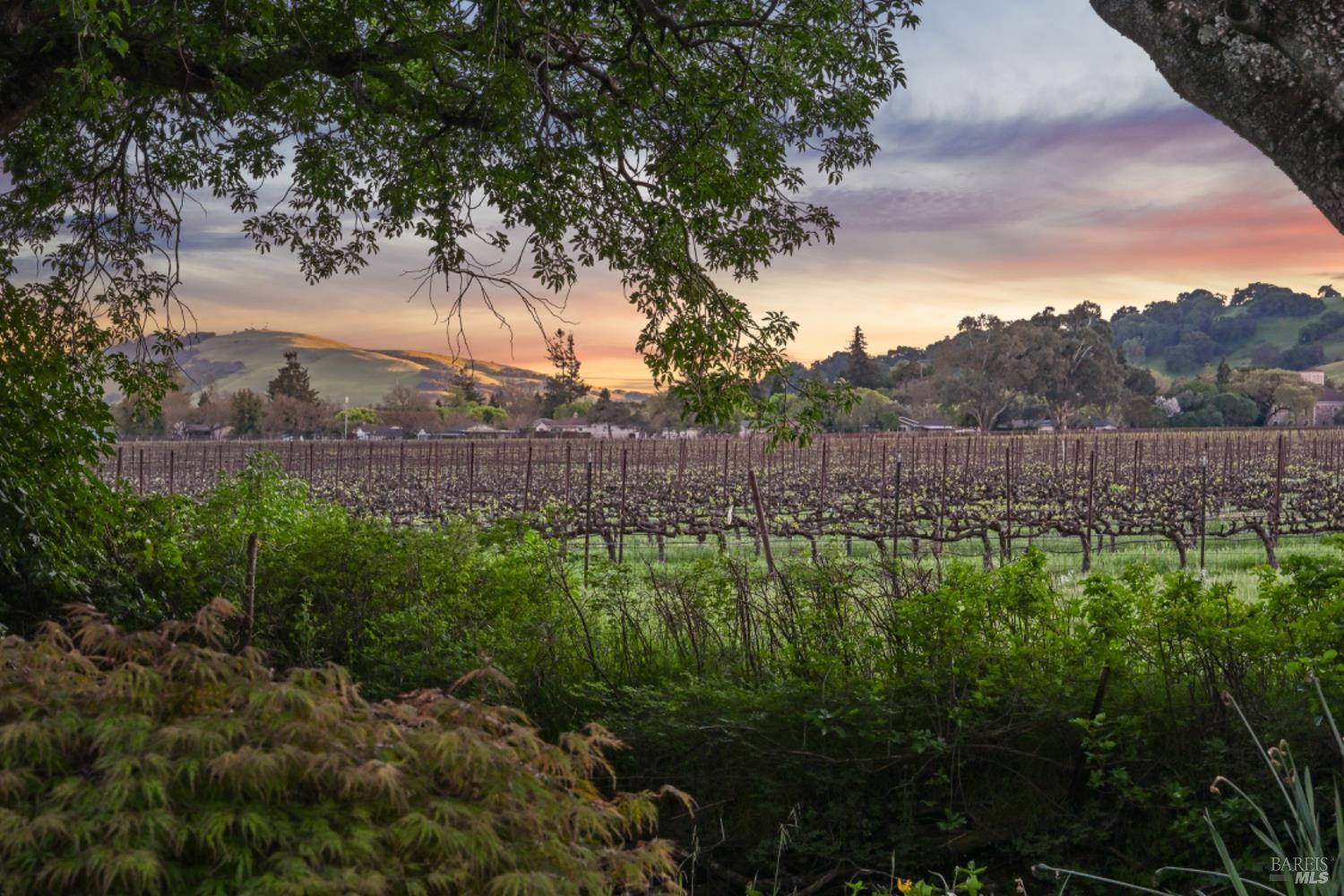 Detail Gallery Image 9 of 60 For 1460 Felder Rd, Sonoma,  CA 95476 - 2 Beds | 2/1 Baths