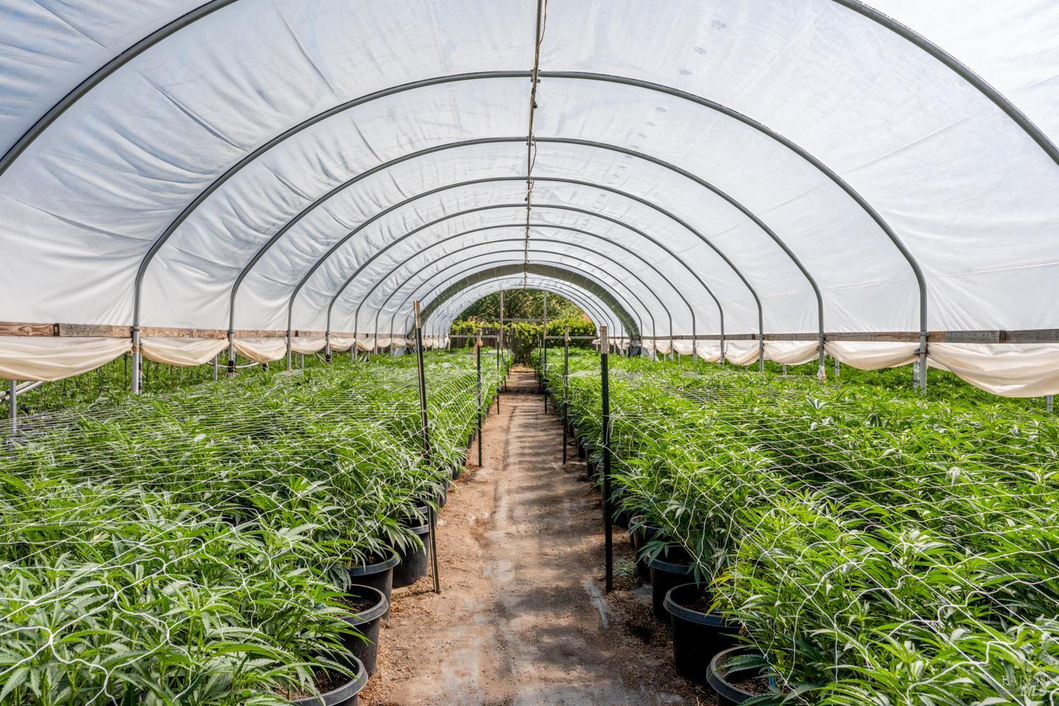 Detail Gallery Image 23 of 28 For 2000 Clover Valley Rd, Upper Lake,  CA 95485 - 2 Beds | 1 Baths