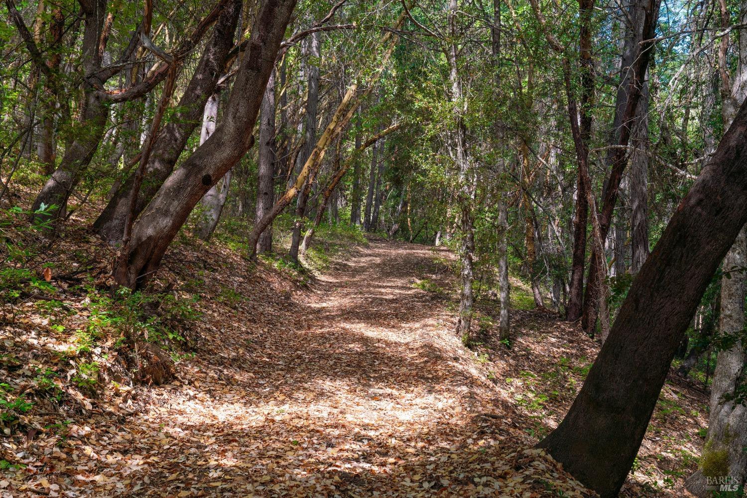 Detail Gallery Image 40 of 62 For 58380 Ca-162 Unkn, Covelo,  CA 95428 - – Beds | – Baths