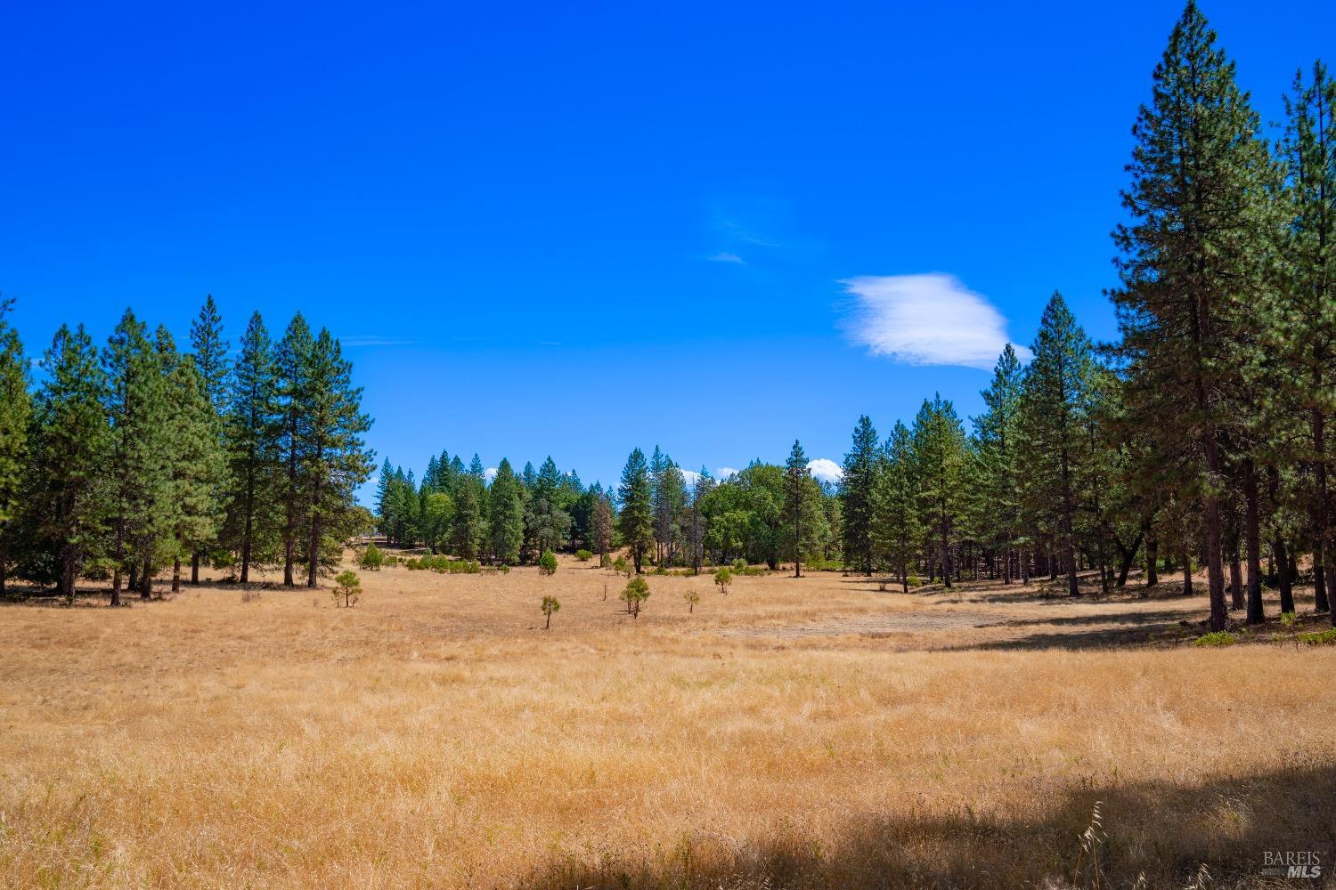 Detail Gallery Image 6 of 62 For 58380 Ca-162 Unkn, Covelo,  CA 95428 - – Beds | – Baths