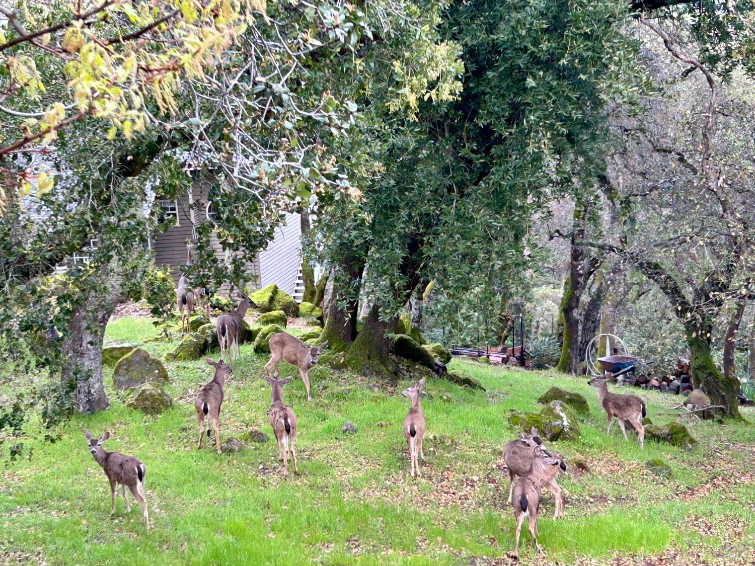 Detail Gallery Image 86 of 86 For 4427 Glencannon Dr, Fairfield,  CA 94534 - 3 Beds | 2/1 Baths