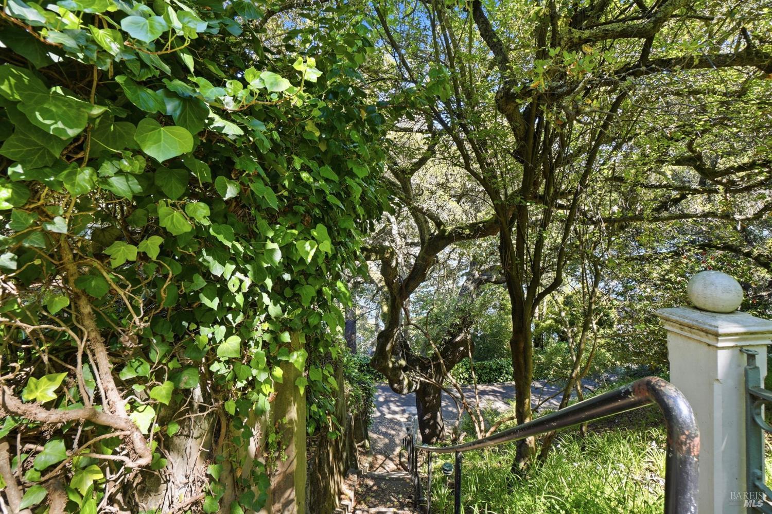 Detail Gallery Image 77 of 98 For 172 Bella Vista Ave a,  Belvedere,  CA 94920 - 4 Beds | 4/1 Baths