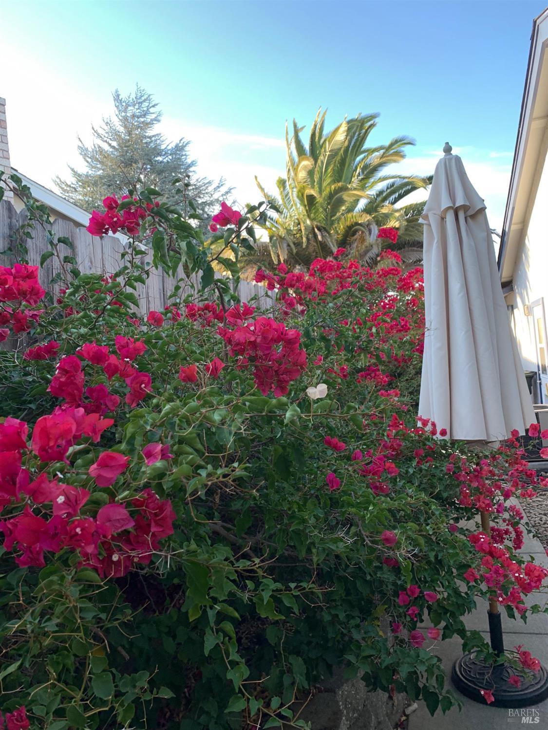 Detail Gallery Image 67 of 87 For 212 Eaton Ct, Benicia,  CA 94510 - 3 Beds | 2 Baths