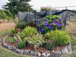 Detail Gallery Image 53 of 89 For 43700 Mountain View Rd, Manchester,  CA 95459 - 3 Beds | 2 Baths