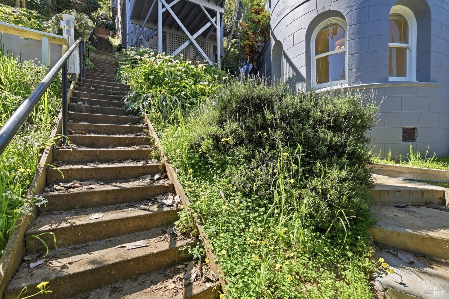 Detail Gallery Image 78 of 98 For 172 Bella Vista Ave a,  Belvedere,  CA 94920 - 4 Beds | 4/1 Baths