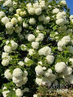 Detail Gallery Image 87 of 89 For 43700 Mountain View Rd, Manchester,  CA 95459 - 3 Beds | 2 Baths