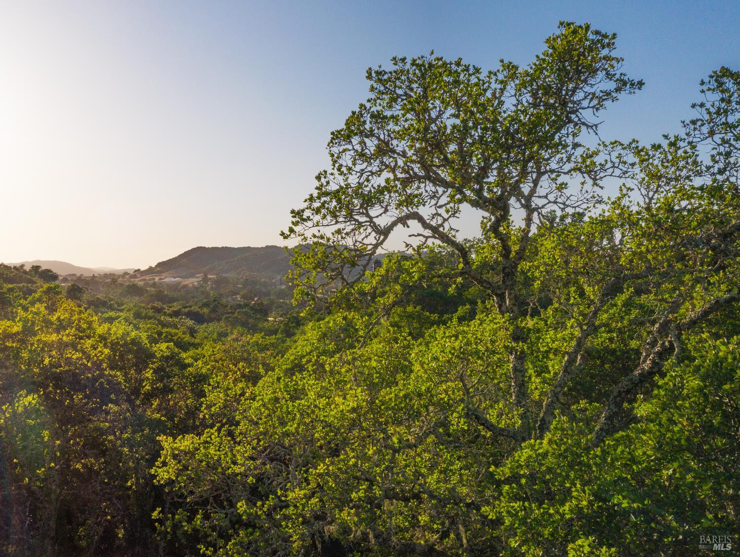 Front Image Thumbnail for BA326023313