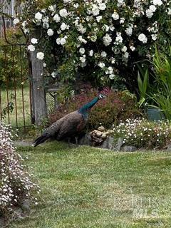 Detail Gallery Image 84 of 89 For 43700 Mountain View Rd, Manchester,  CA 95459 - 3 Beds | 2 Baths