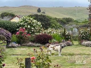 Detail Gallery Image 51 of 89 For 43700 Mountain View Rd, Manchester,  CA 95459 - 3 Beds | 2 Baths