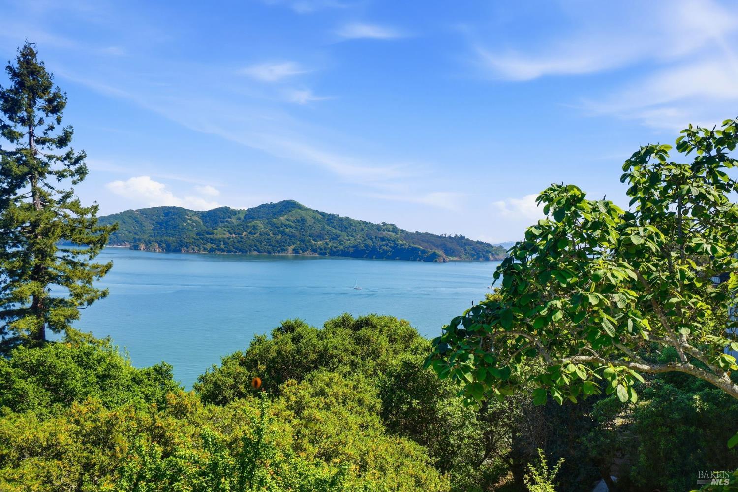 Detail Gallery Image 2 of 98 For 172 Bella Vista Ave a,  Belvedere,  CA 94920 - 4 Beds | 4/1 Baths