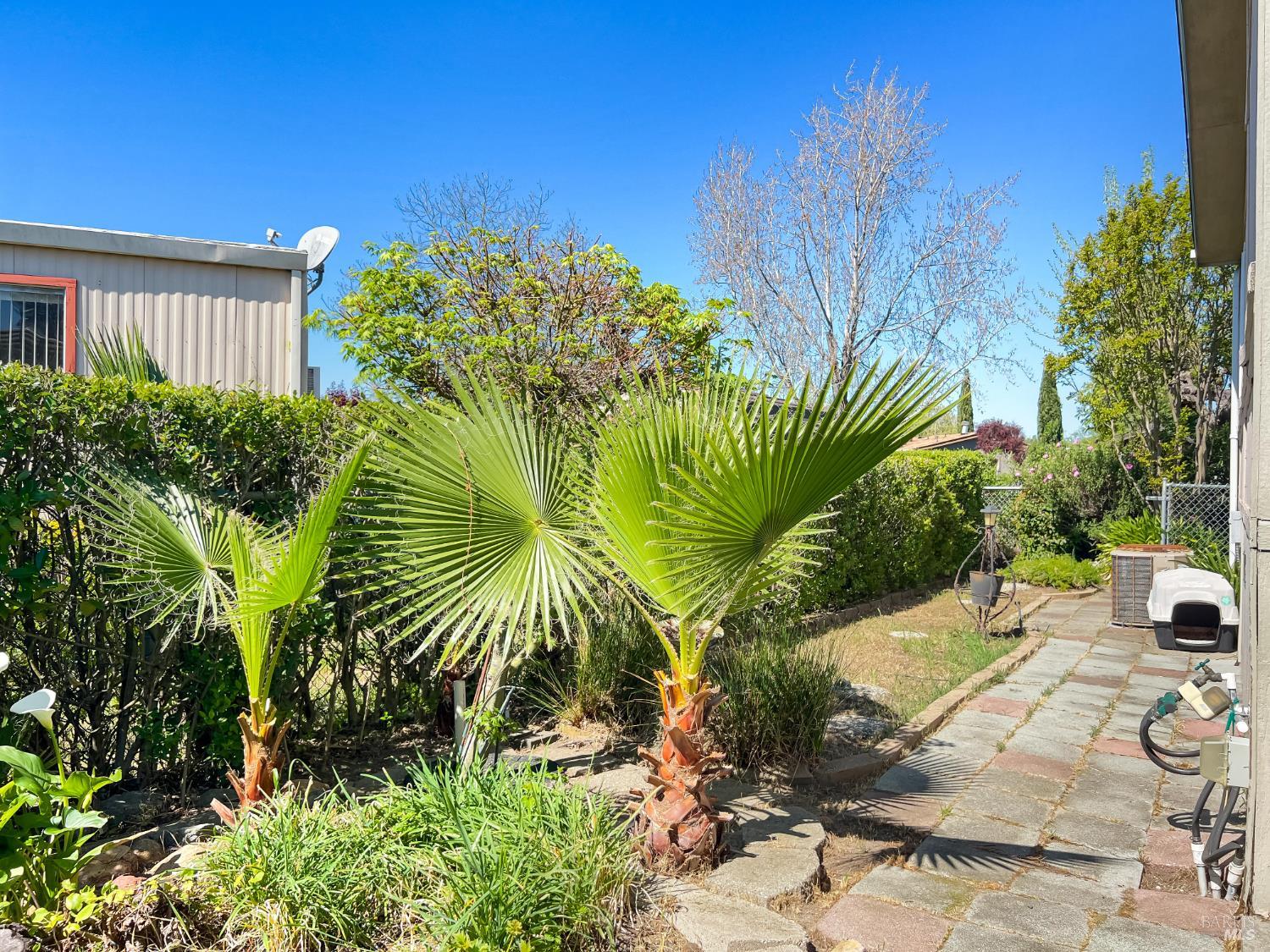 Detail Gallery Image 21 of 30 For 8169 Willow St, Windsor,  CA 95492 - 2 Beds | 2 Baths