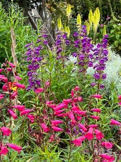 Detail Gallery Image 55 of 89 For 43700 Mountain View Rd, Manchester,  CA 95459 - 3 Beds | 2 Baths