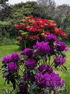 Detail Gallery Image 82 of 89 For 43700 Mountain View Rd, Manchester,  CA 95459 - 3 Beds | 2 Baths