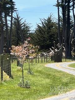 Detail Gallery Image 80 of 89 For 43700 Mountain View Rd, Manchester,  CA 95459 - 3 Beds | 2 Baths