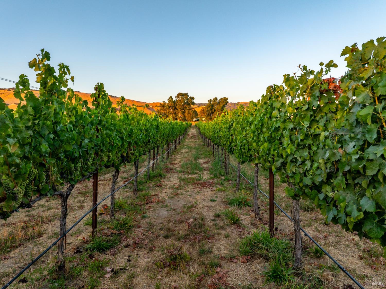 Detail Gallery Image 41 of 49 For 2143 Buena Vista Ave, Gilroy,  CA 95020 - 0 Beds | 0/1 Baths